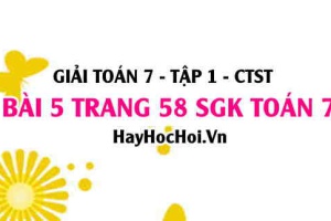 Giải bài 5 trang 58 Toán 7 Tập 1 SGK Chân trời sáng tạo